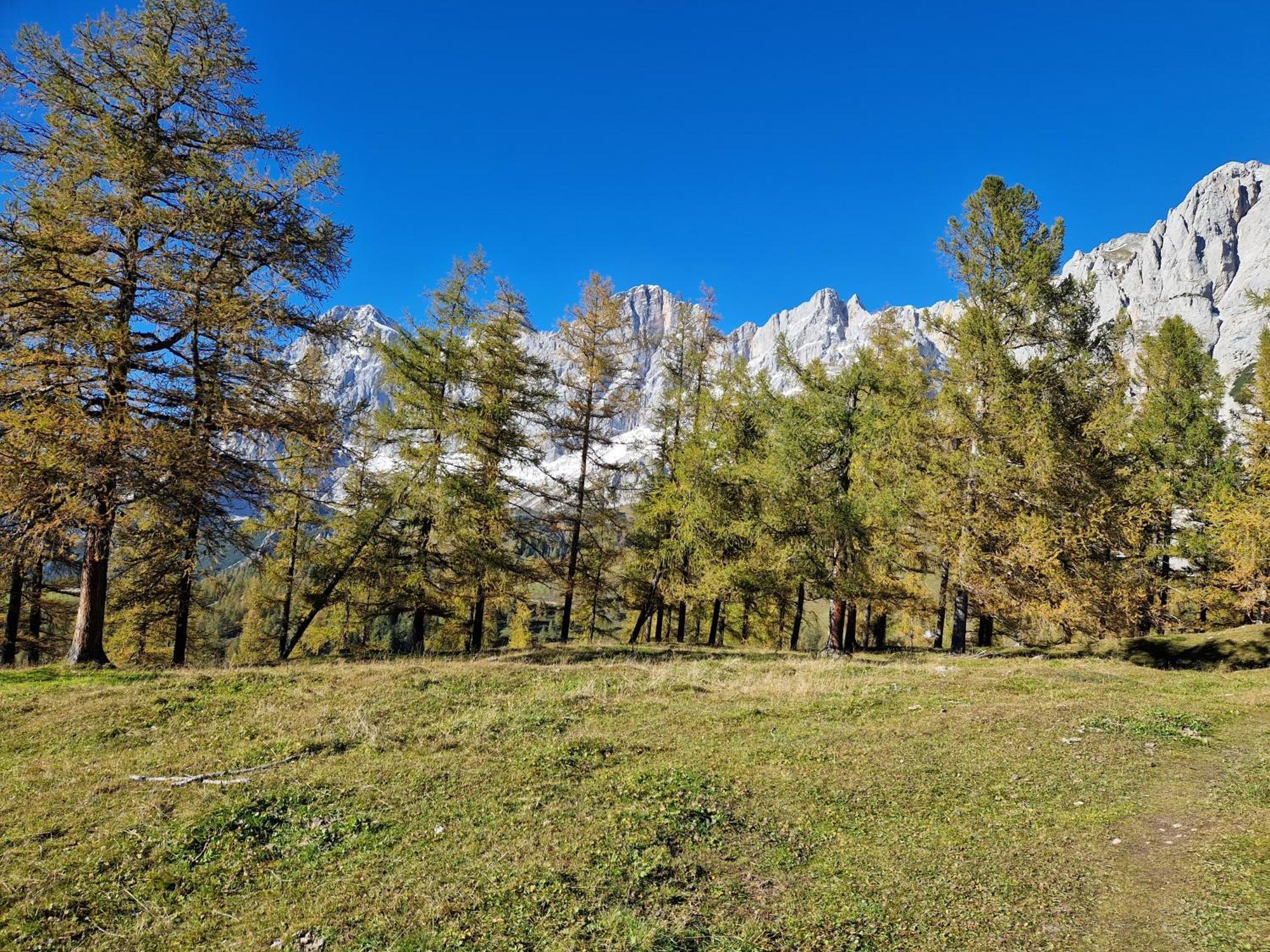 Romantikapartment Mit Sommercard Ramsau am Dachstein Buitenkant foto