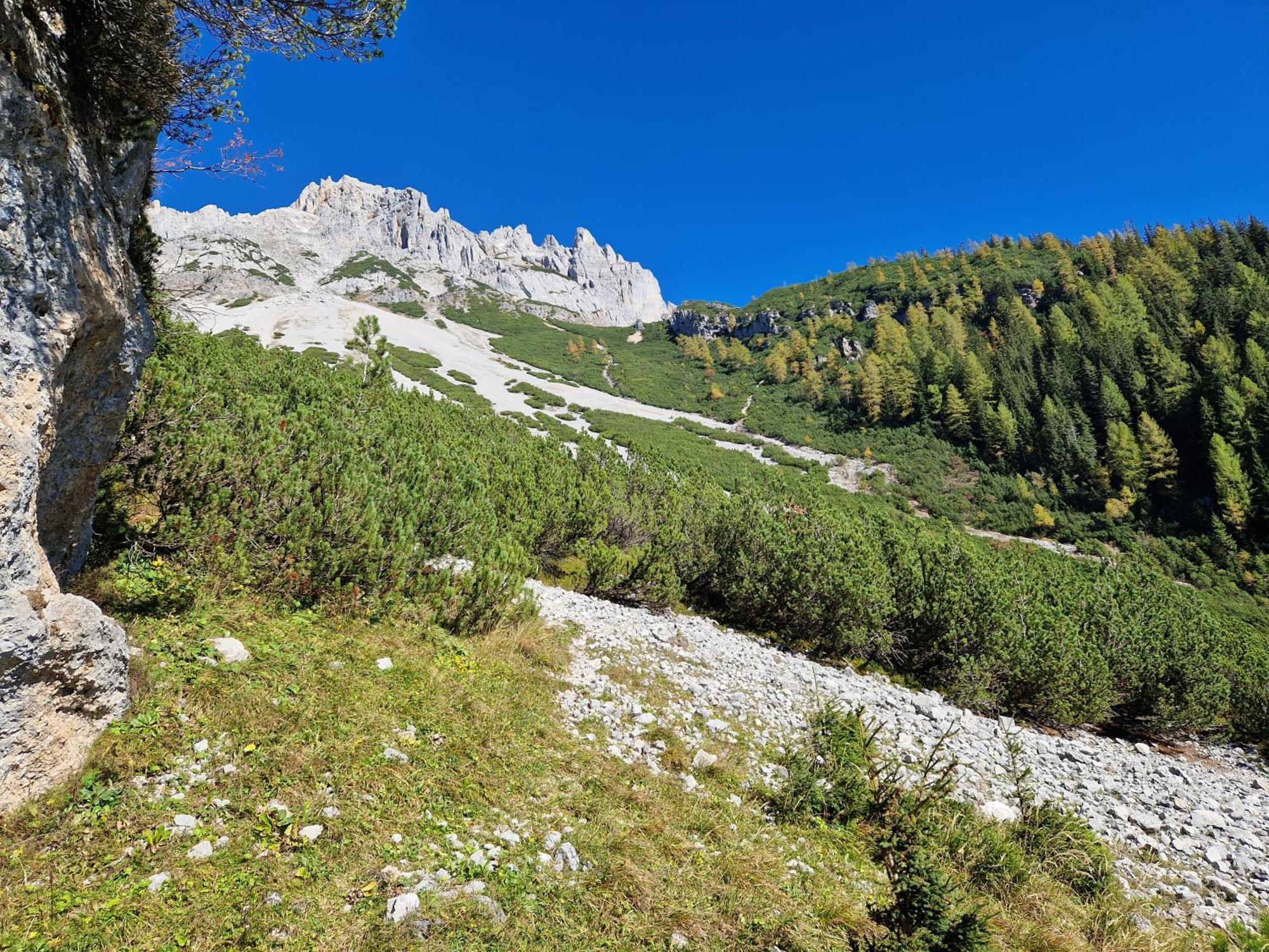 Romantikapartment Mit Sommercard Ramsau am Dachstein Buitenkant foto