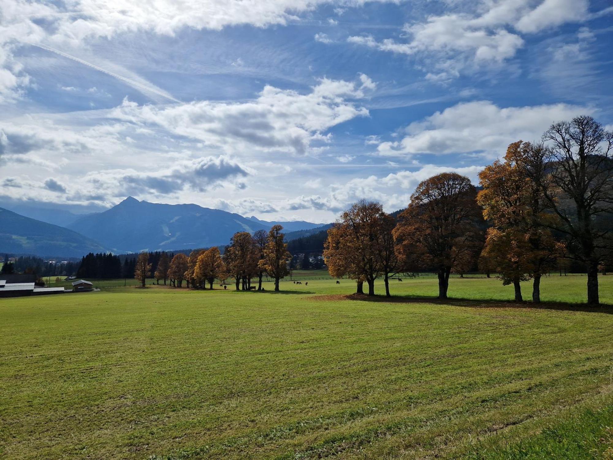 Romantikapartment Mit Sommercard Ramsau am Dachstein Buitenkant foto