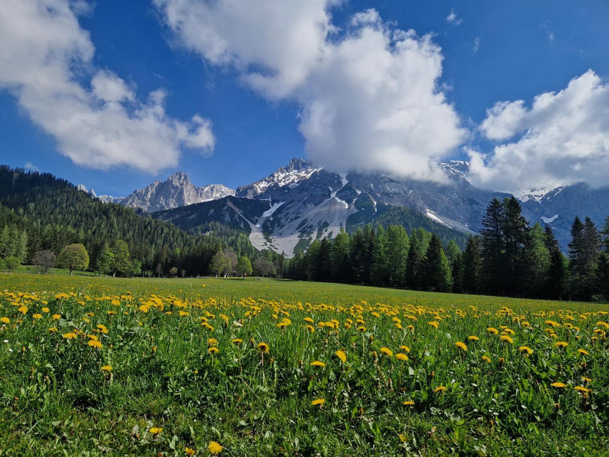 Romantikapartment Mit Sommercard Ramsau am Dachstein Buitenkant foto