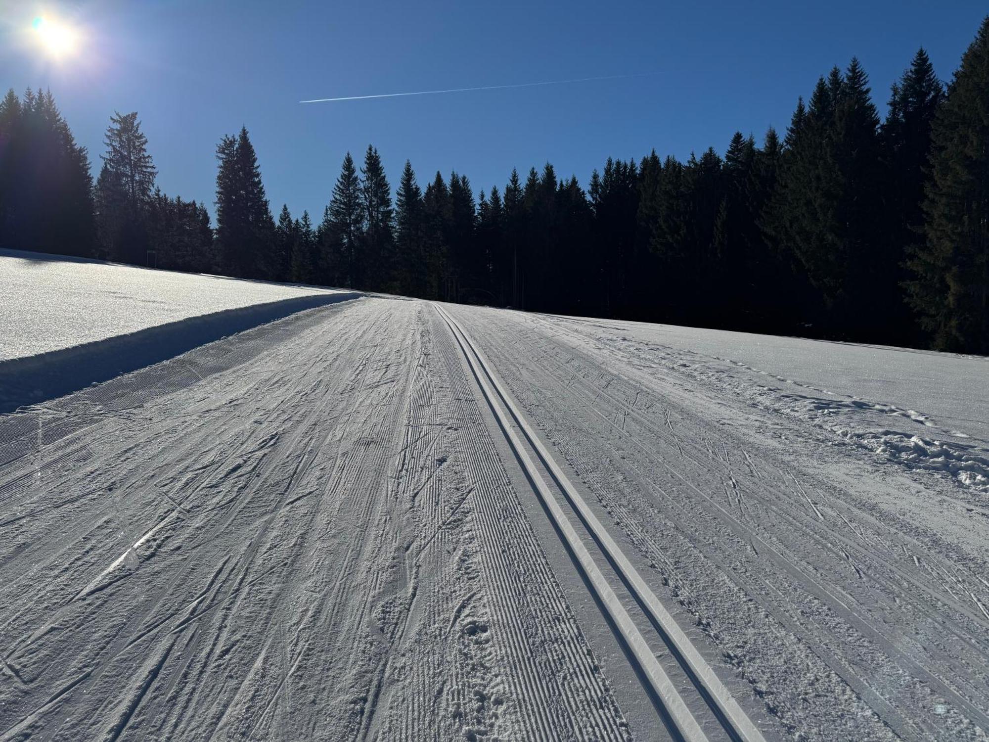 Romantikapartment Mit Sommercard Ramsau am Dachstein Buitenkant foto